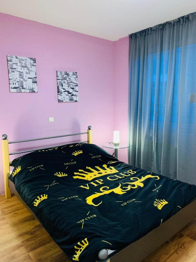 Modern And Central Apartment, Near Rhein, Museums & Event Venues, Fully Furnished Bonn Exterior photo